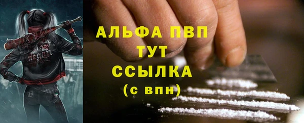 спиды Аркадак