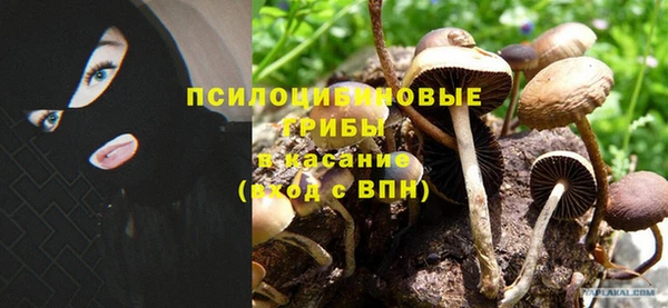 спиды Аркадак