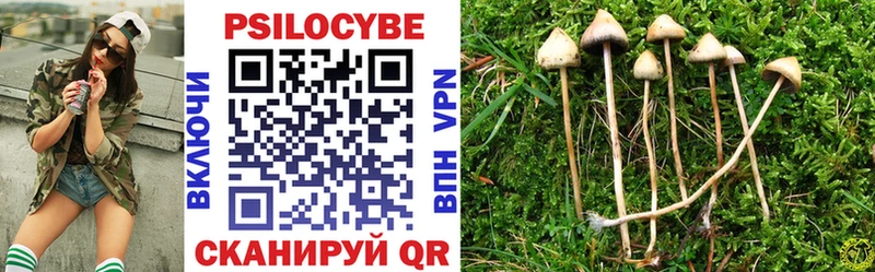 mega ссылки  магазин    Вичуга  Галлюциногенные грибы GOLDEN TEACHER 